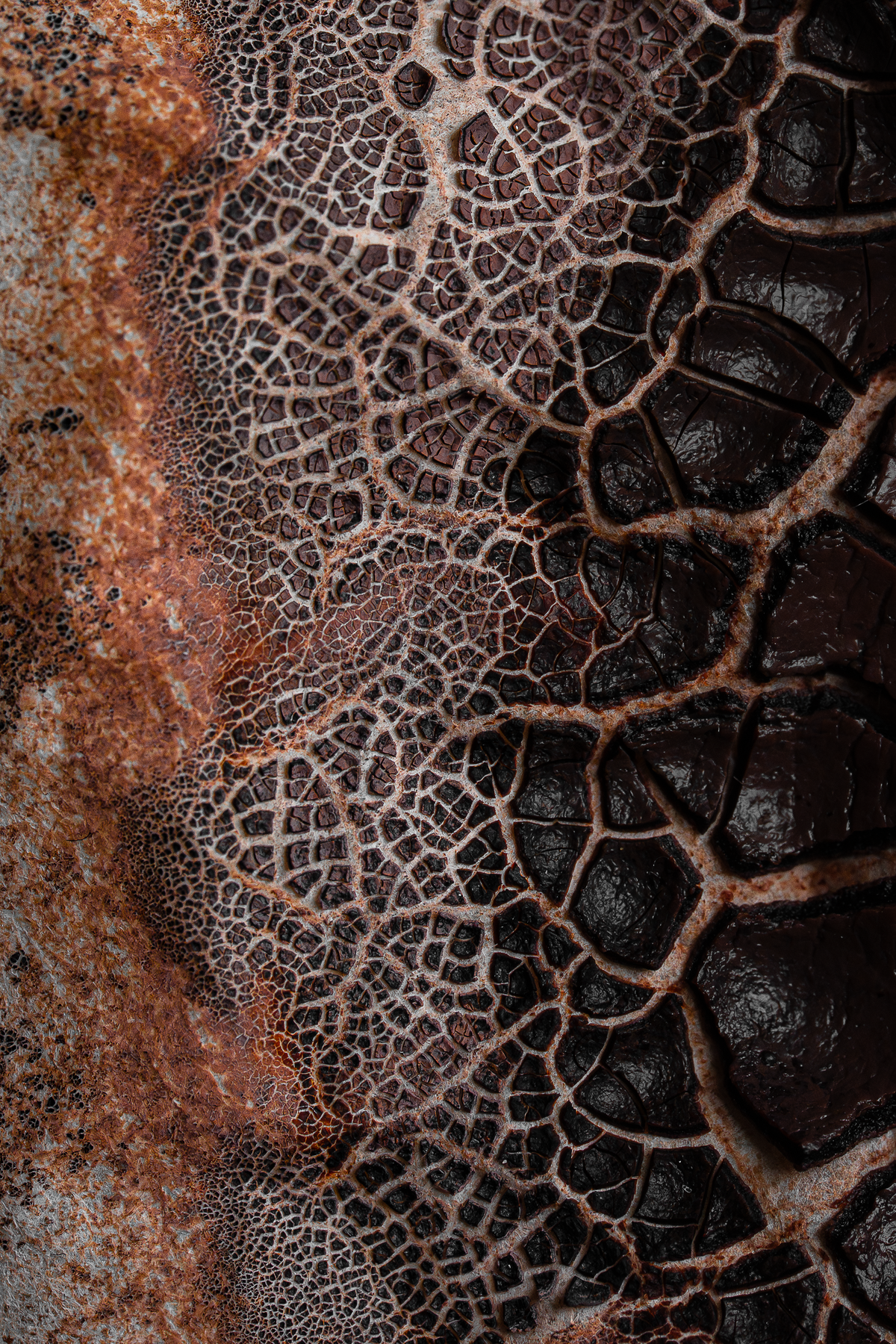 Étude de Textures — 1