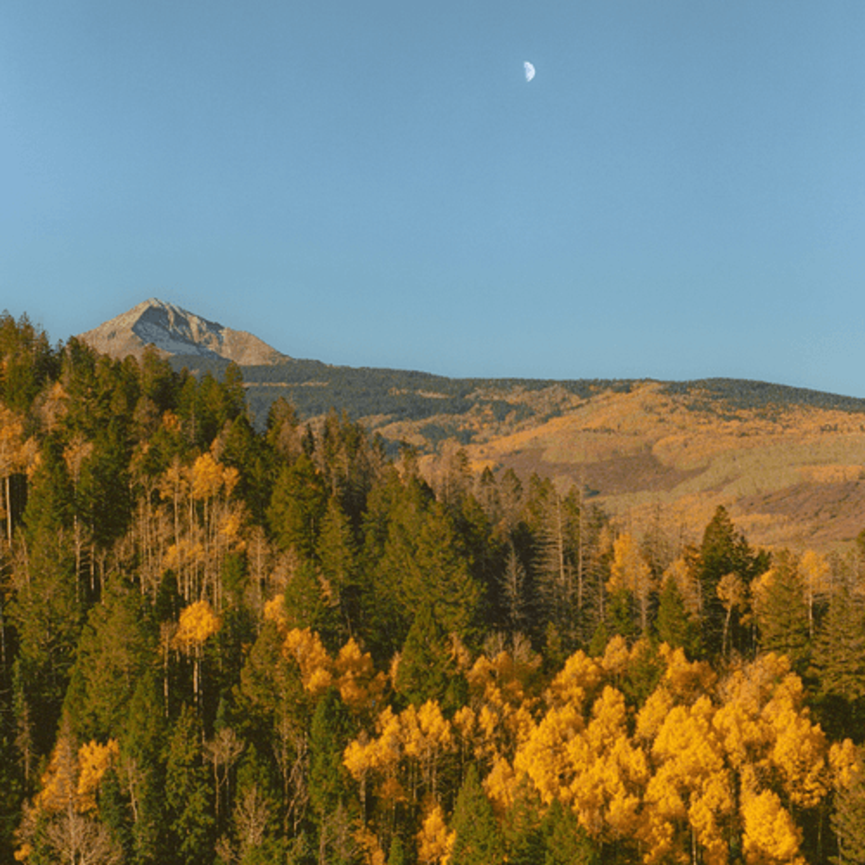 Mid Morning Moon