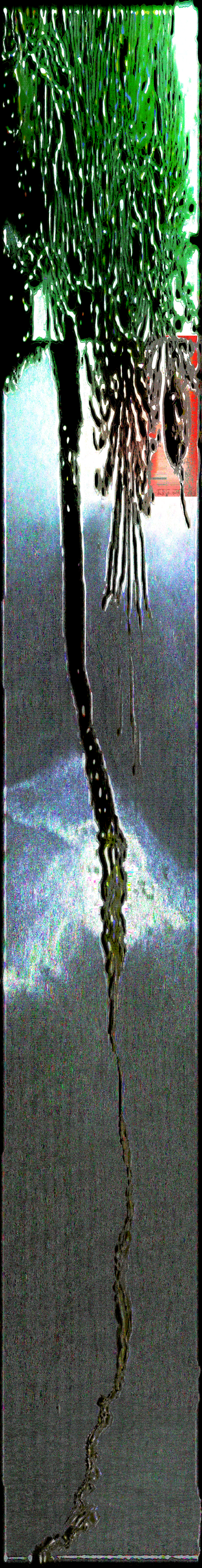 nft