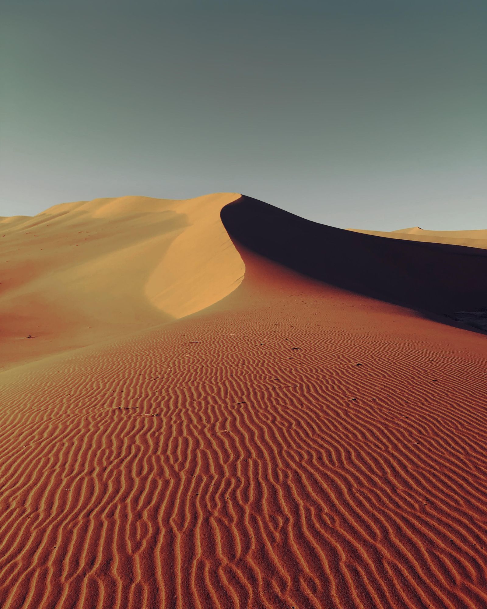 Dune Texture