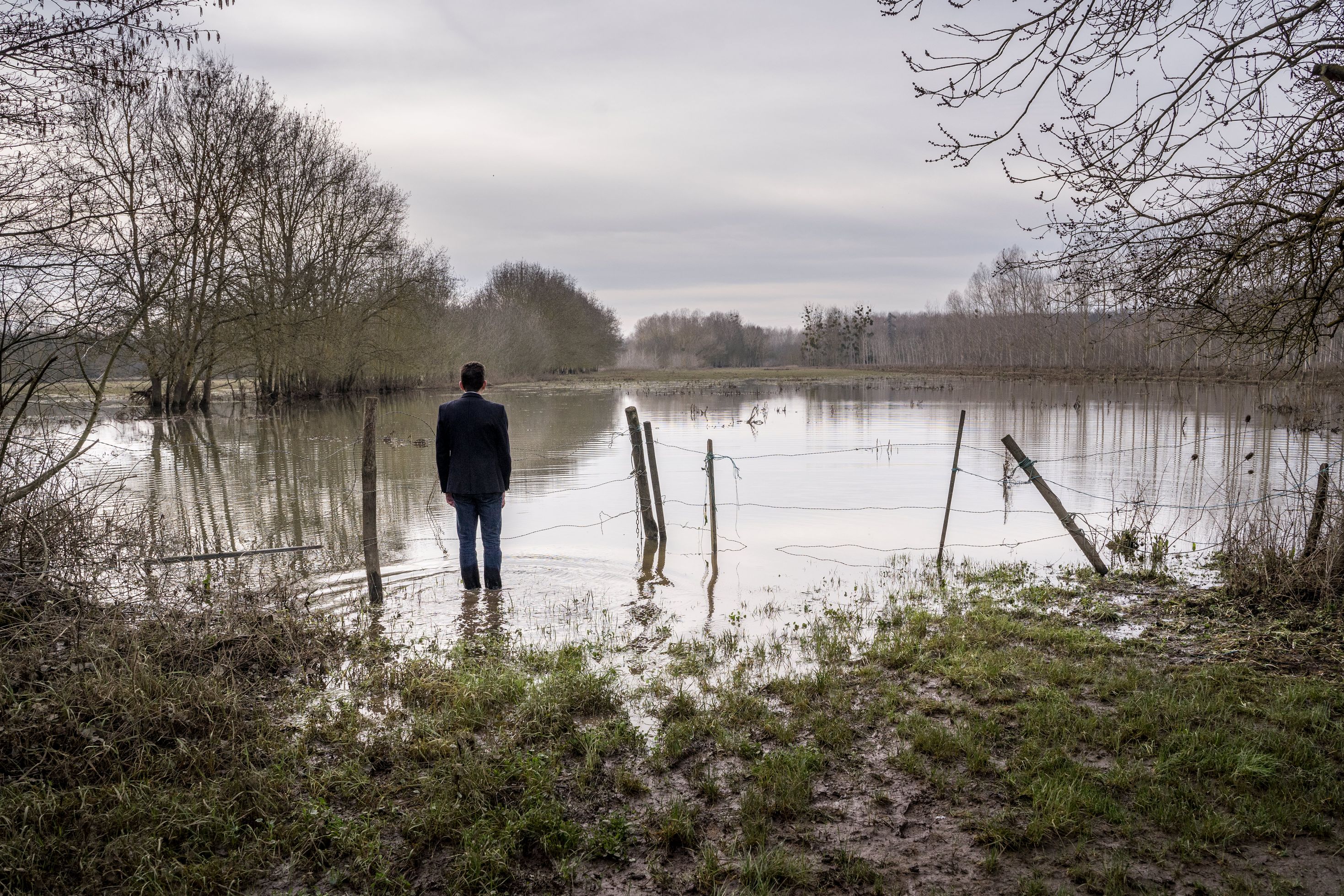 Alone in a flooded field 