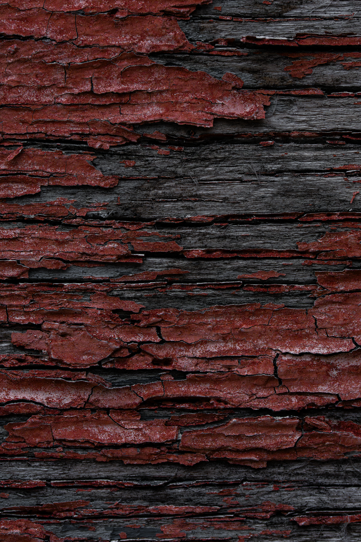 Étude de Textures — 4