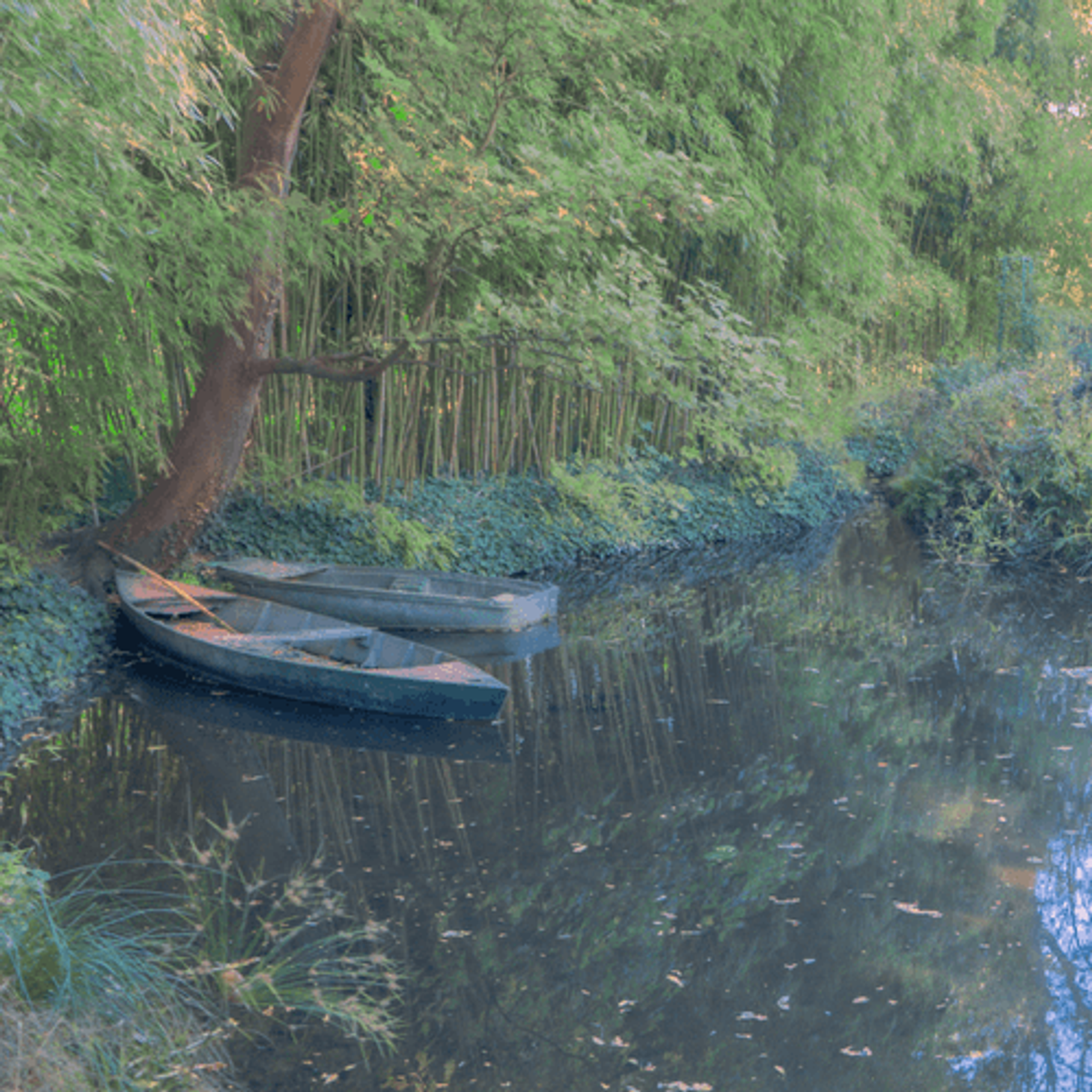 Two boats on the lake