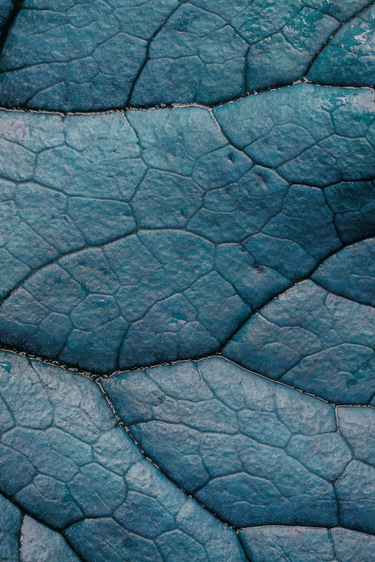 Étude de Textures — 5