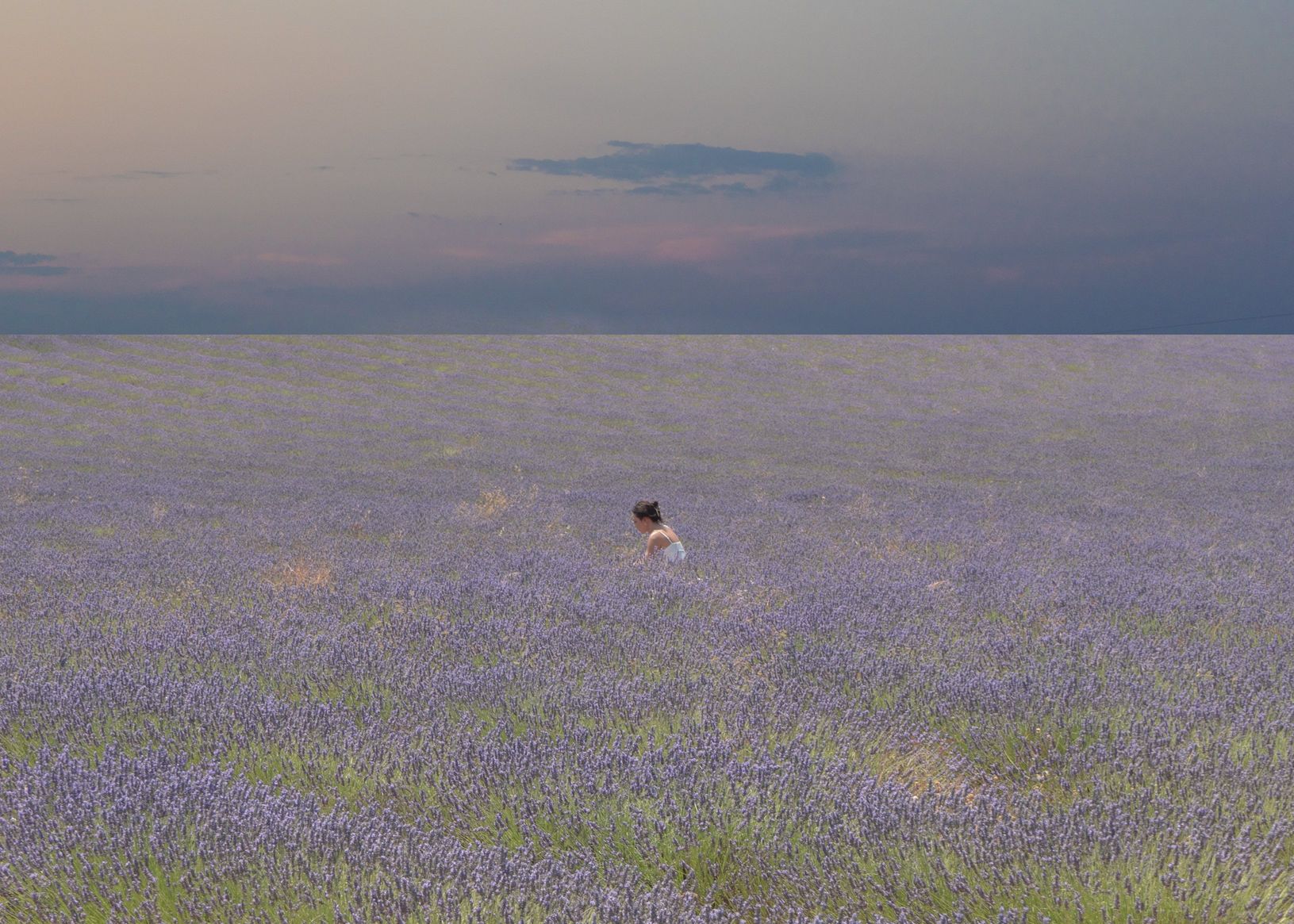 Self portrait in a field of dreams