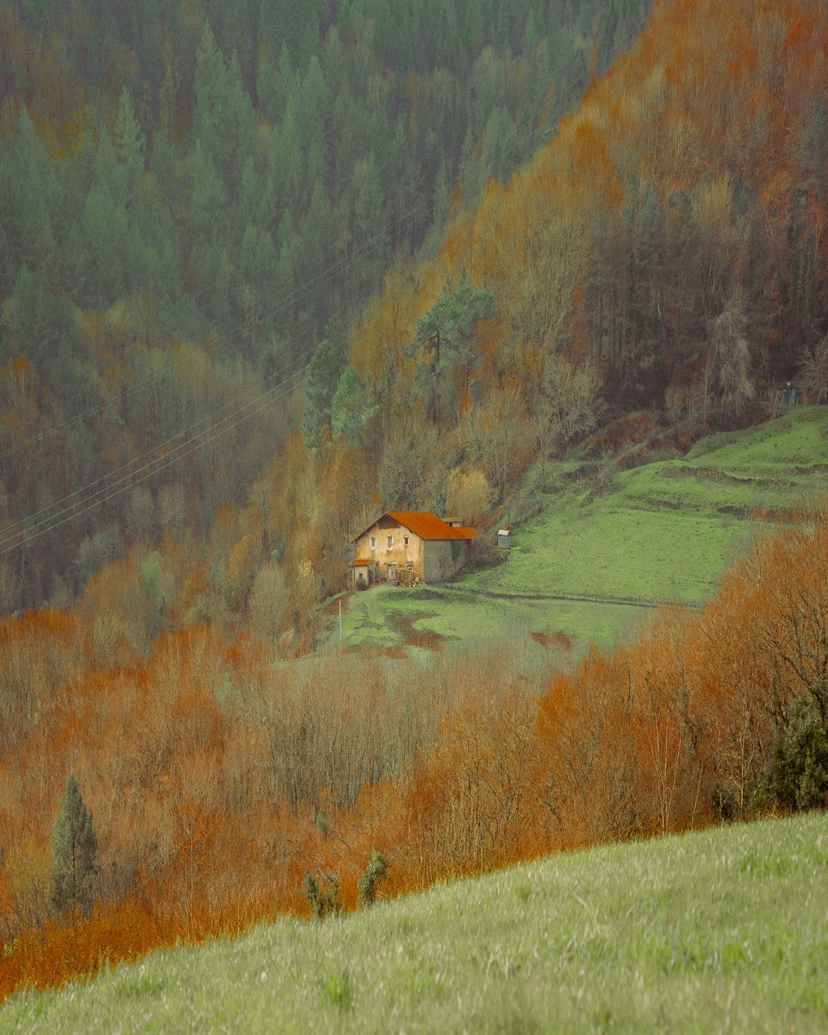 The Home
