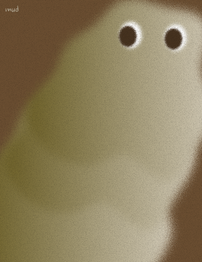 mud