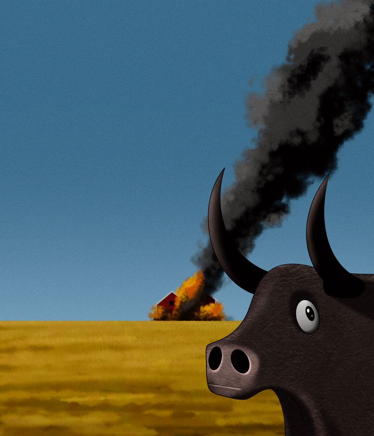 This Is Fine