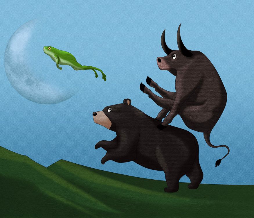 Crossing The Bear