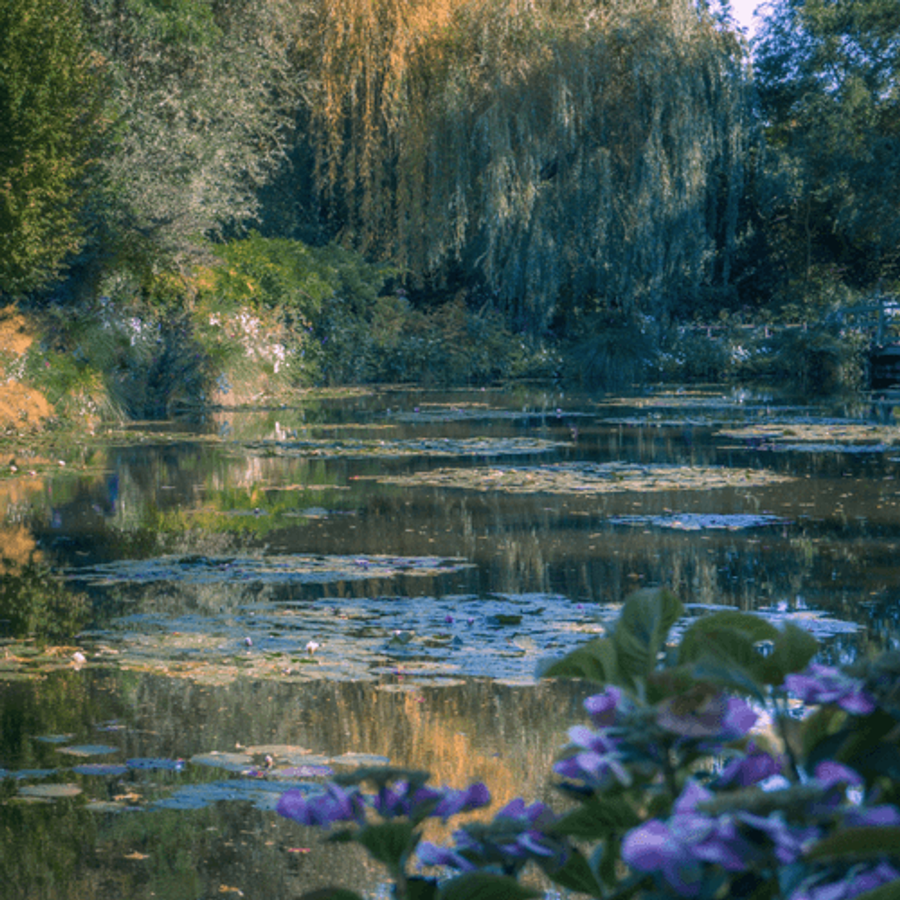 The artist's garden